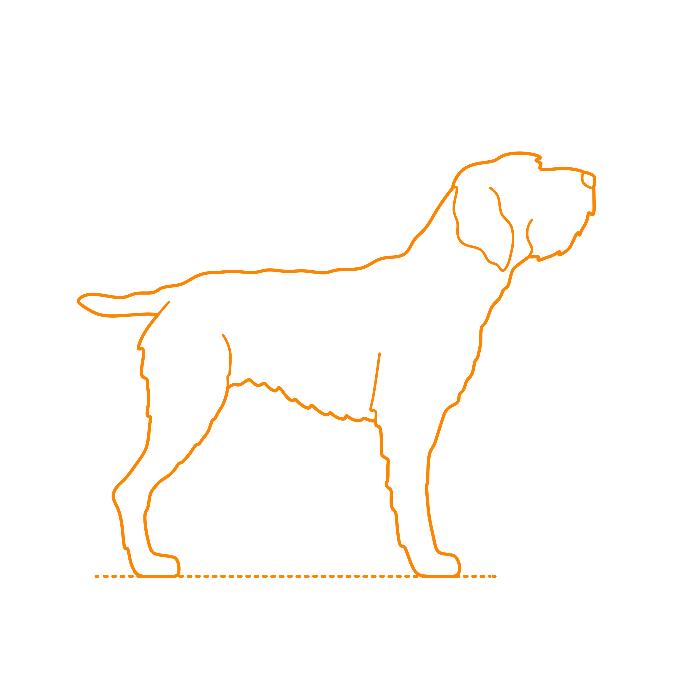 Animals Dogs Wirehaired Pointing Griffon Contour Svg Vector Free Vectors